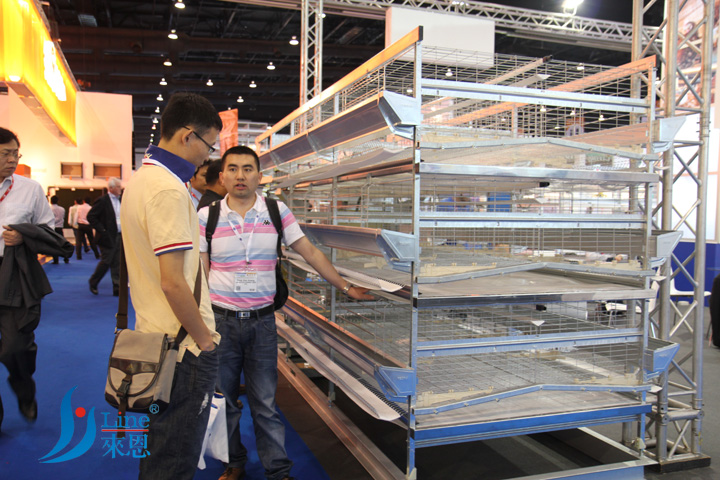 2013曼谷亚洲VIV会展 企业近况 参会 畜牧展会